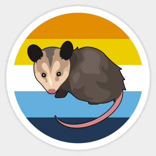 Pride Possum (AroAce) Sticker